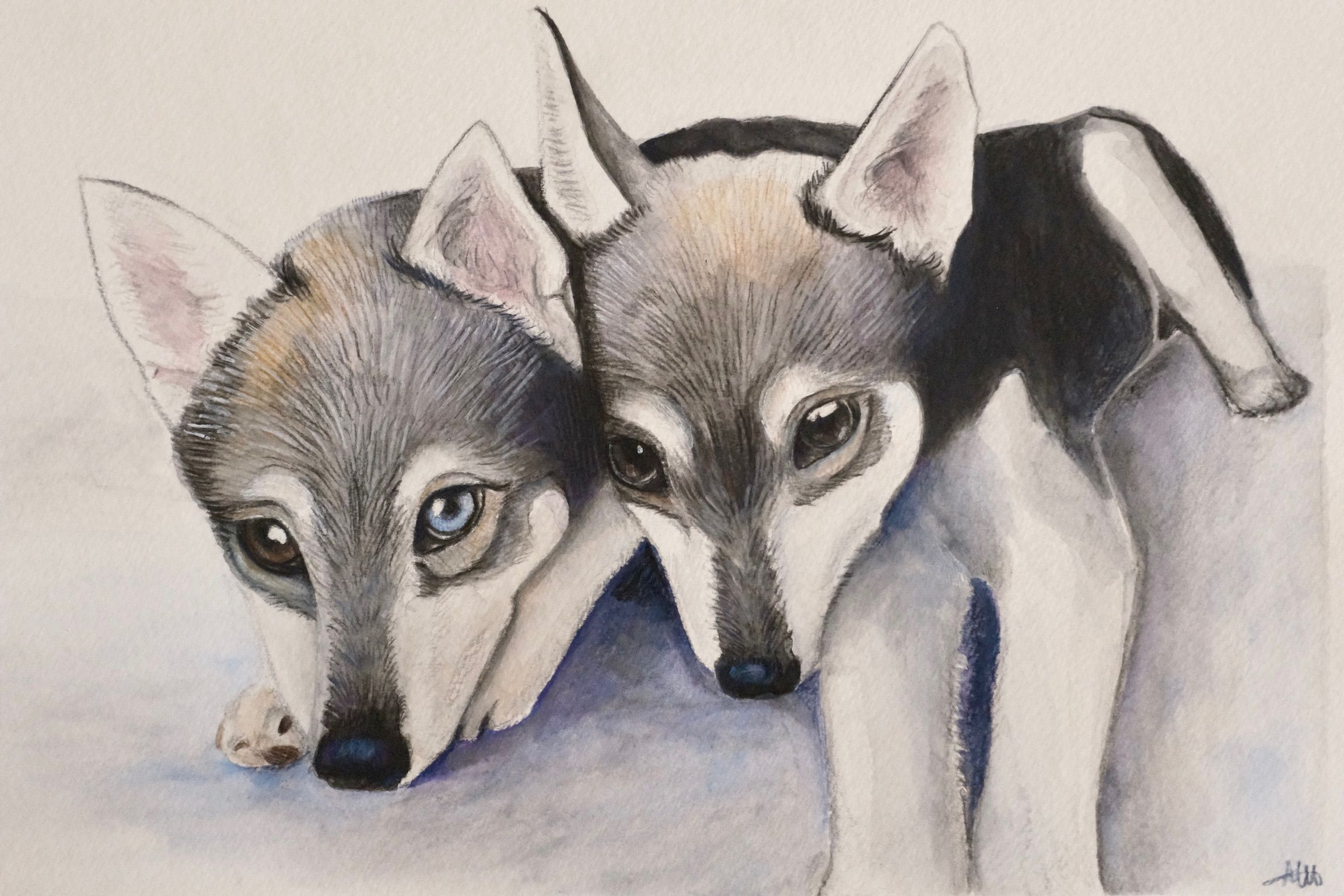 Artwork from the pet portraits collection.