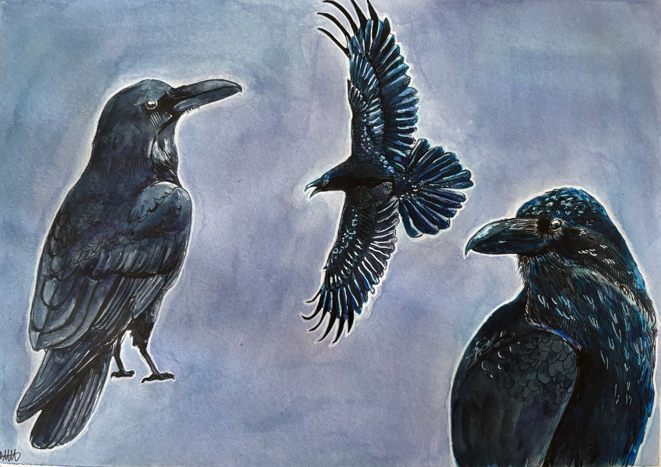 Artwork from the ink collection.
