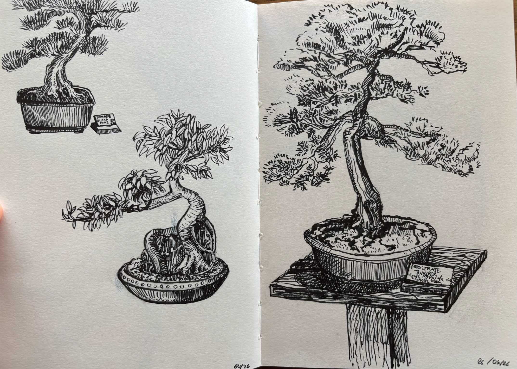Artwork from the ink collection.