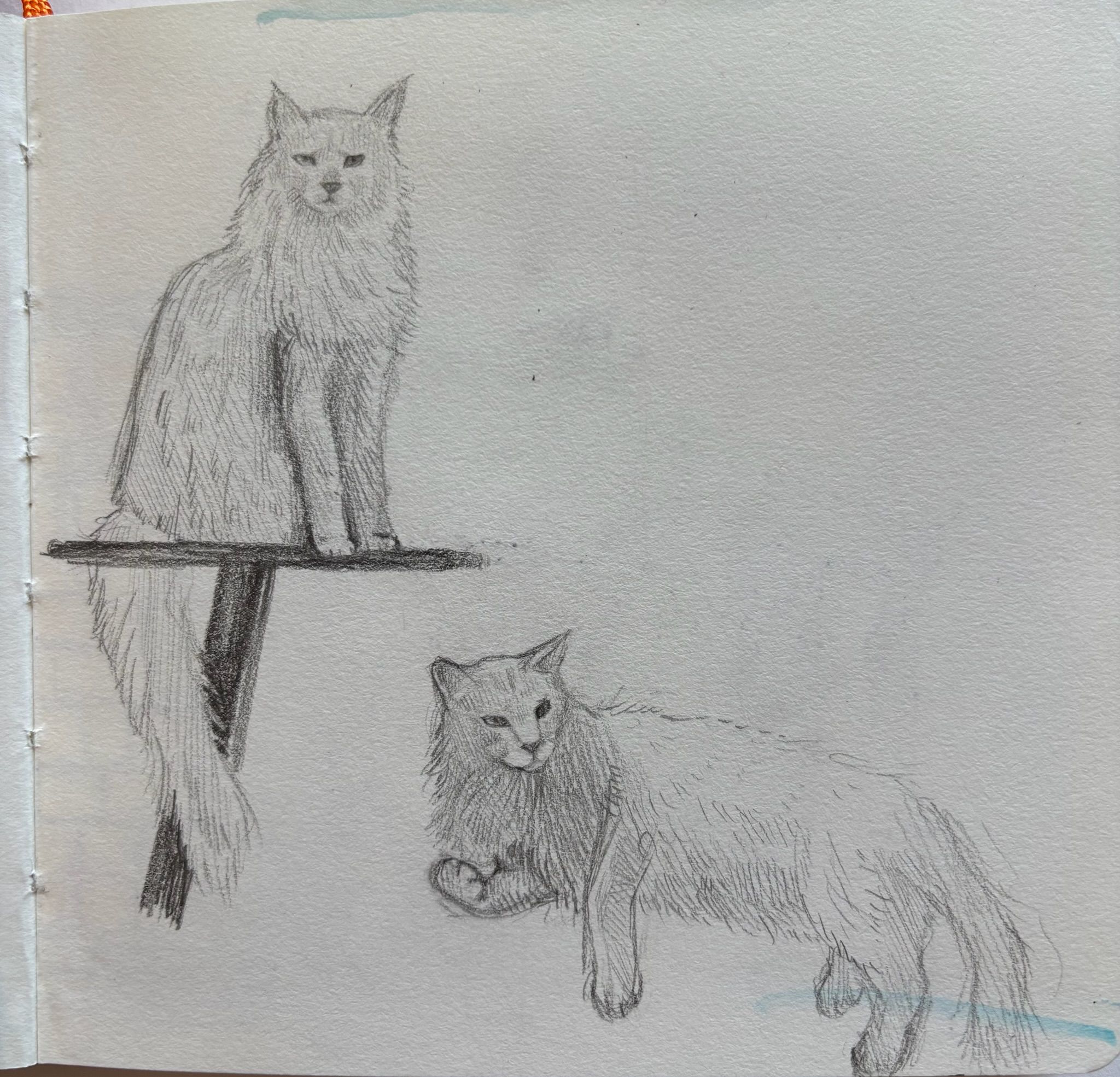 Artwork from the pet portraits collection.