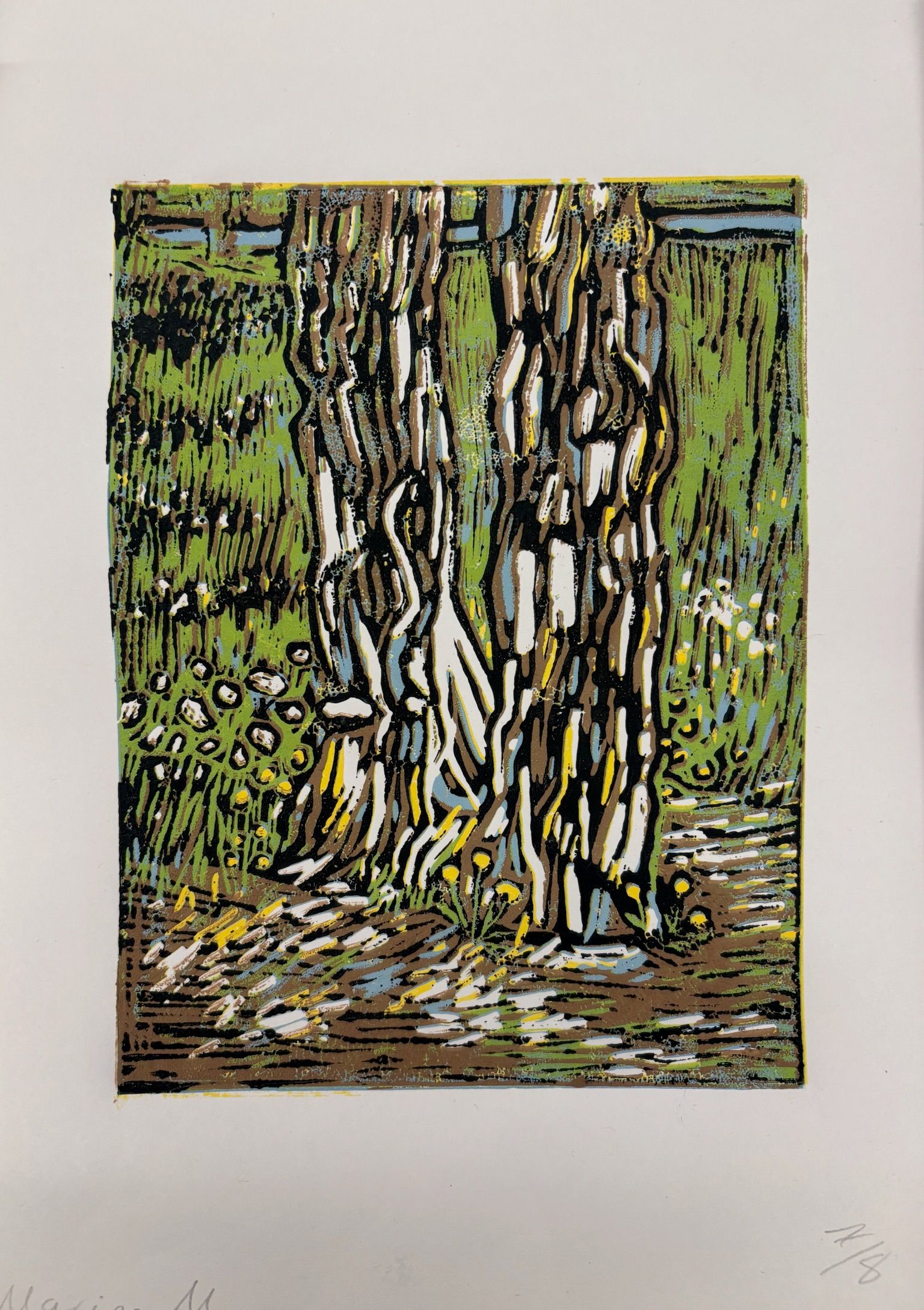 Artwork from the treebark collection.