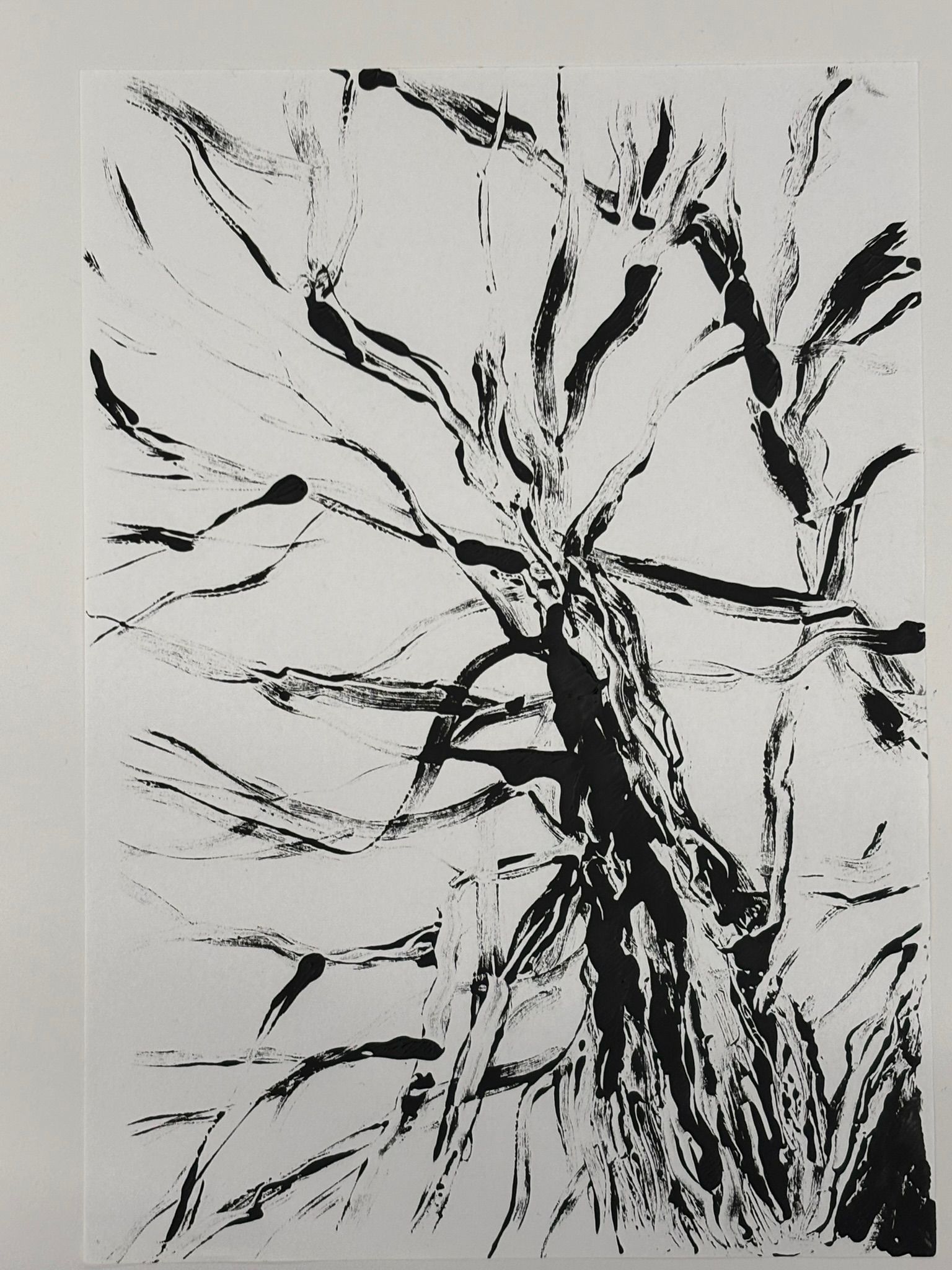 Artwork from the treebark collection.