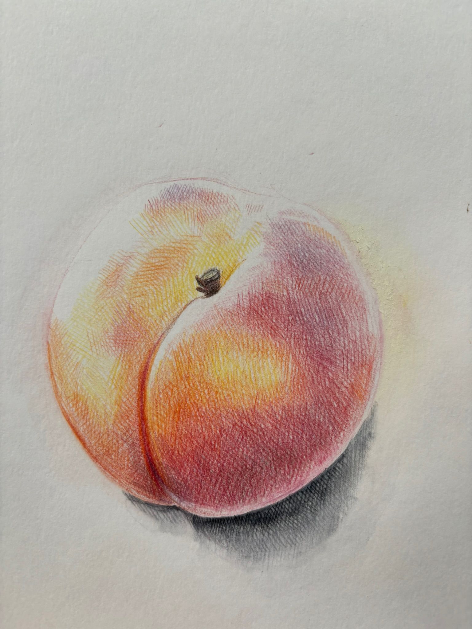 Artwork from the food studies collection.