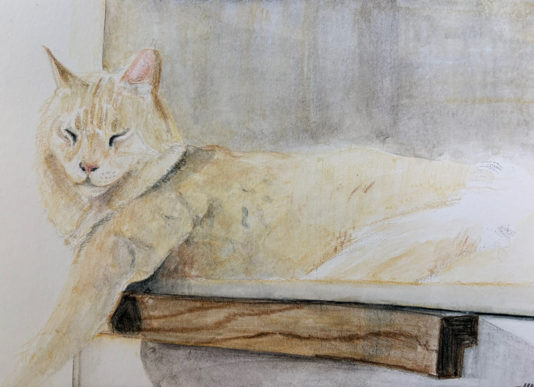 Artwork from the pet portraits collection.