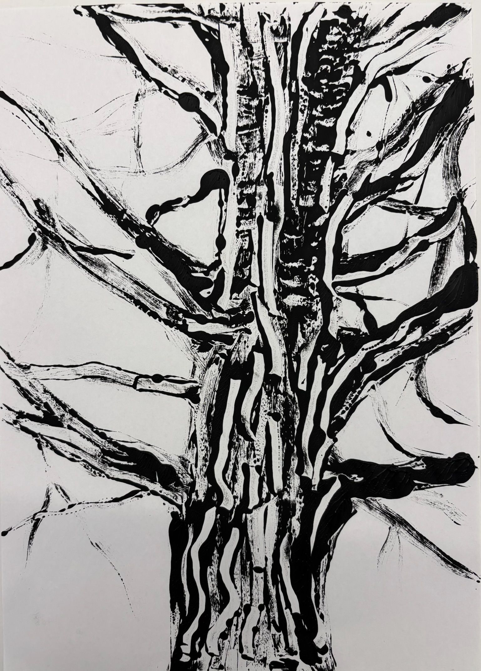 Artwork from the treebark collection.