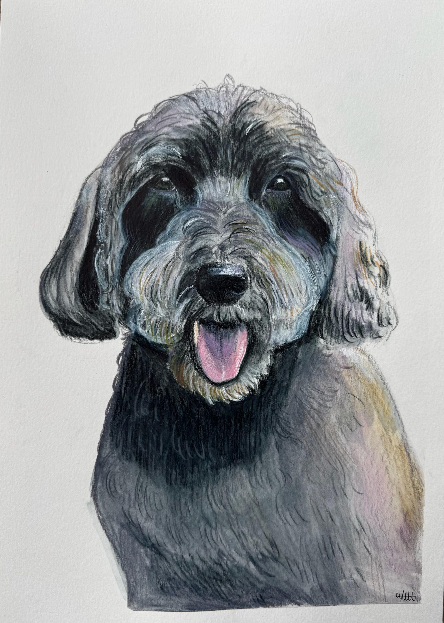 Artwork from the pet portraits collection.