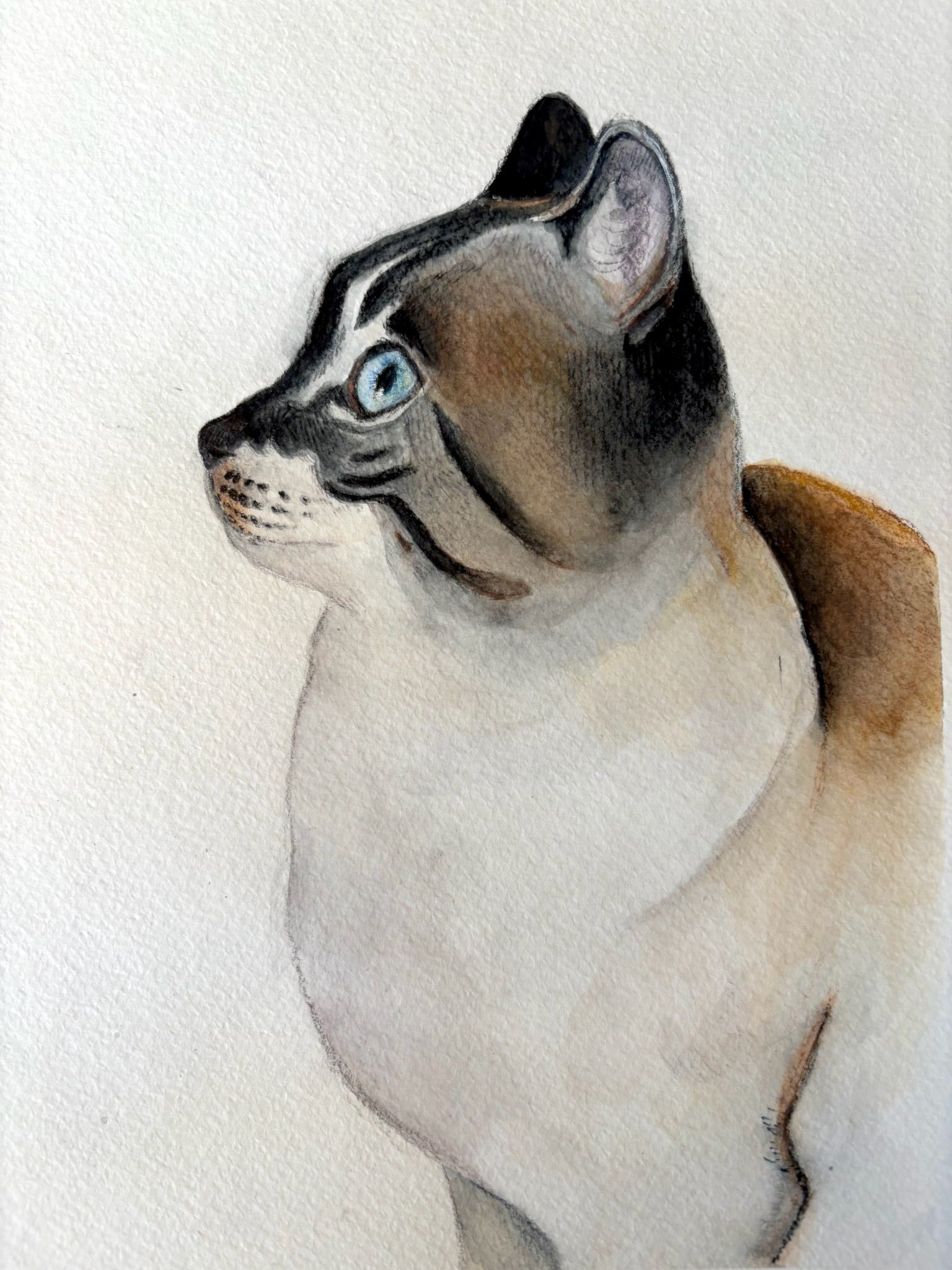 Artwork from the pet portraits collection.
