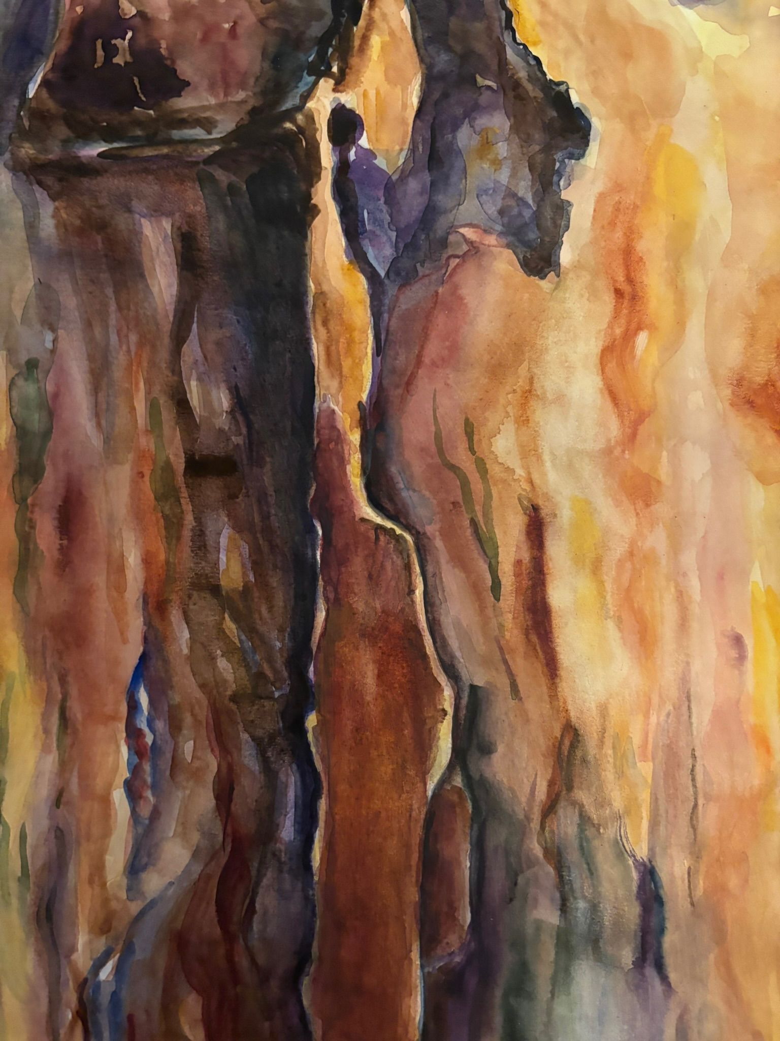 Artwork from the treebark collection.