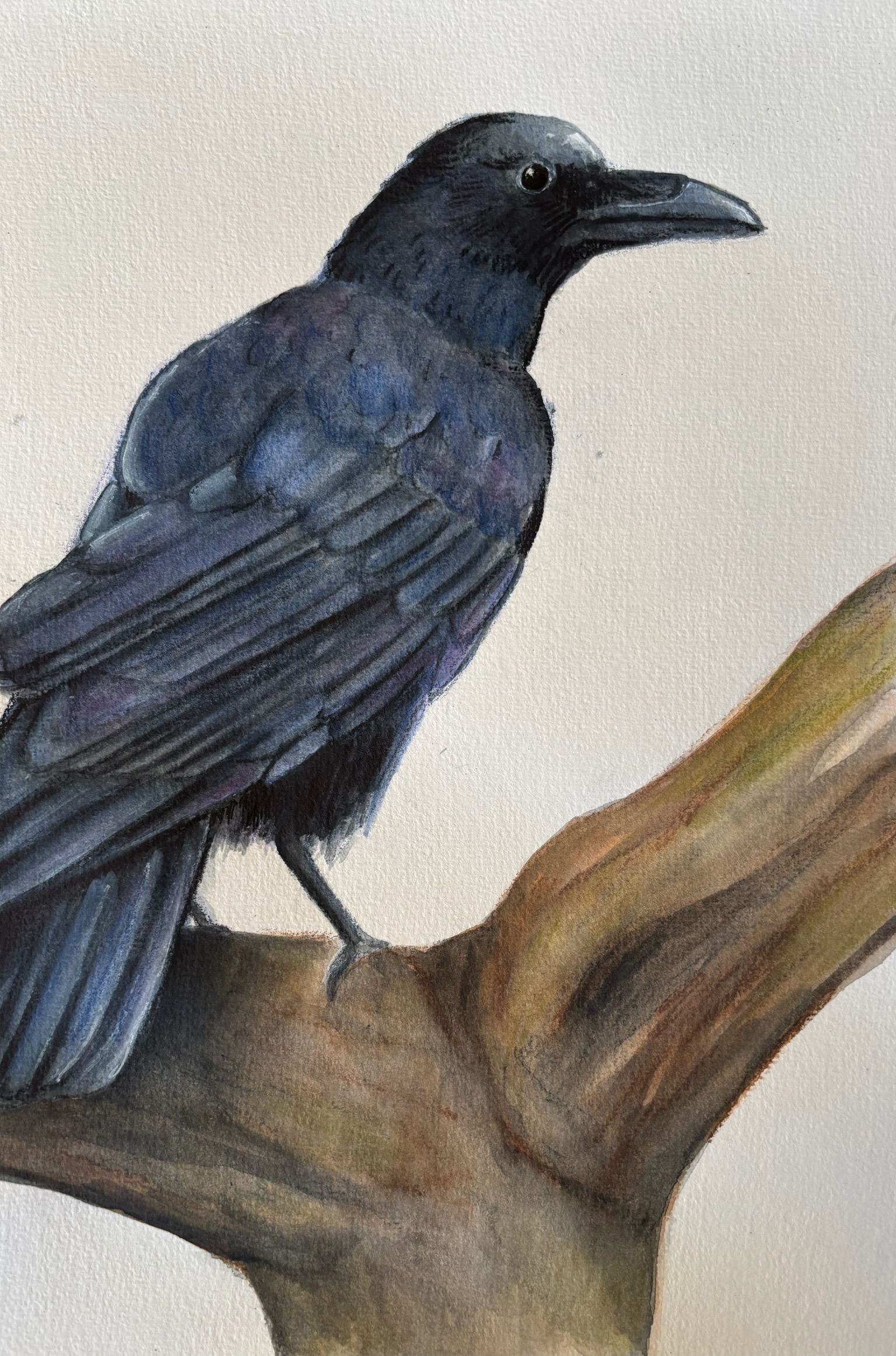 Artwork from the pet portraits collection.