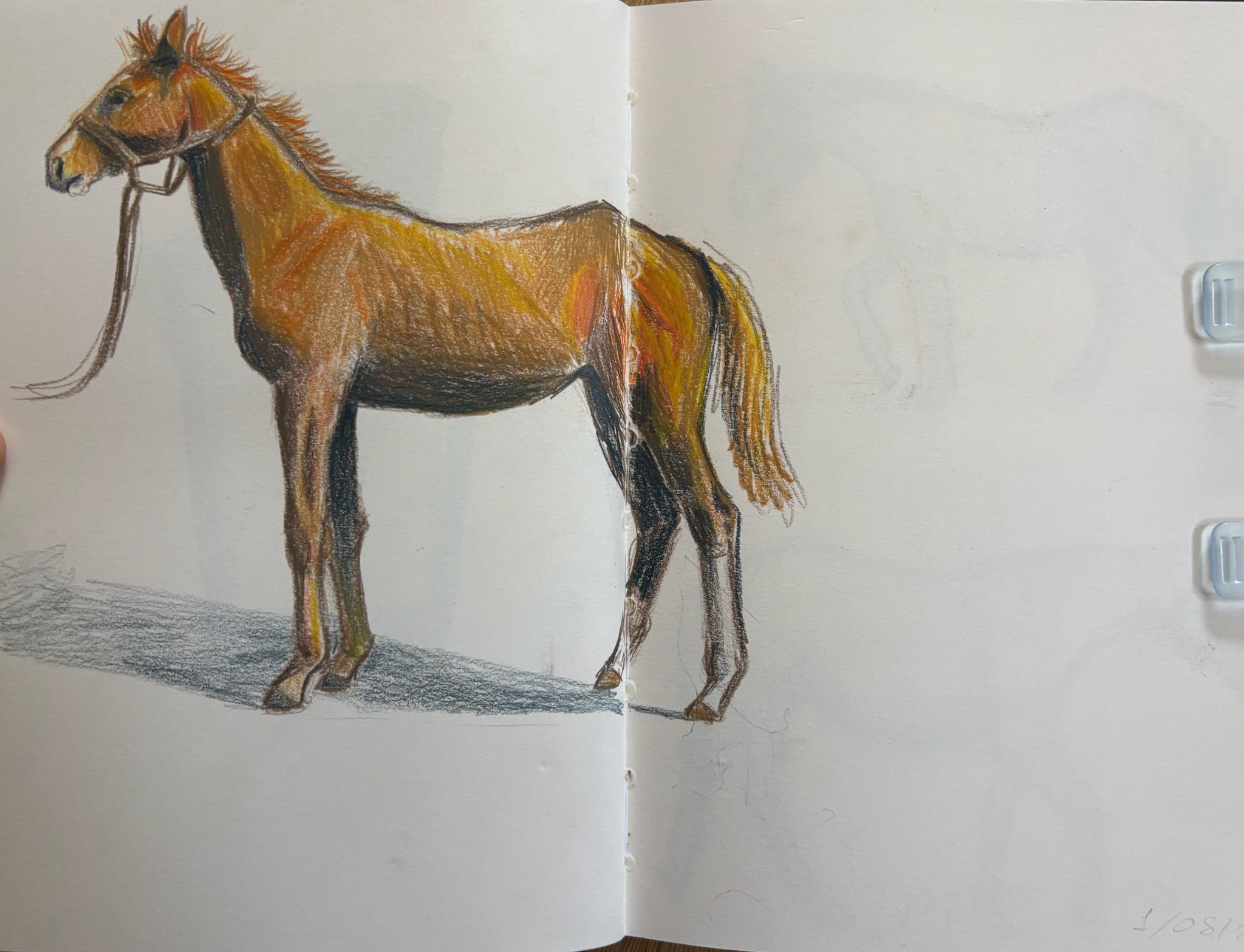 Artwork from the pet portraits collection.