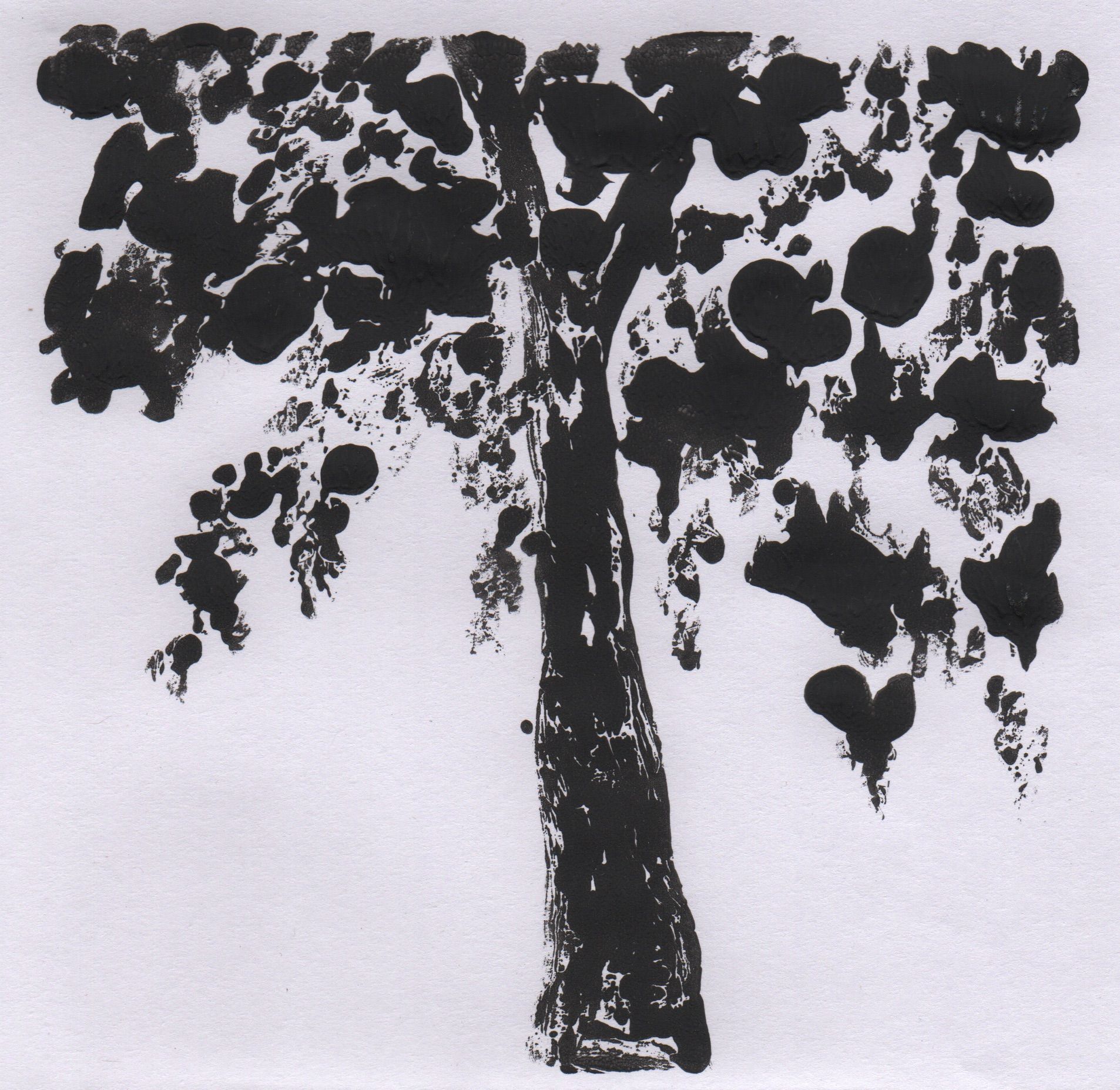 Artwork from the treebark collection.