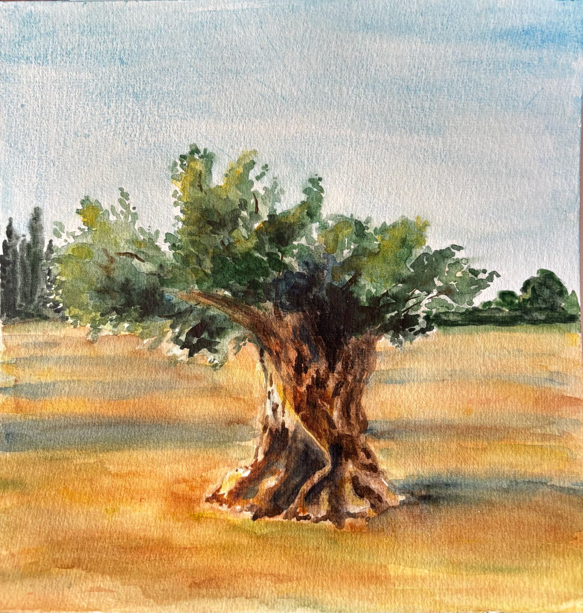 Artwork from the landscapes collection.