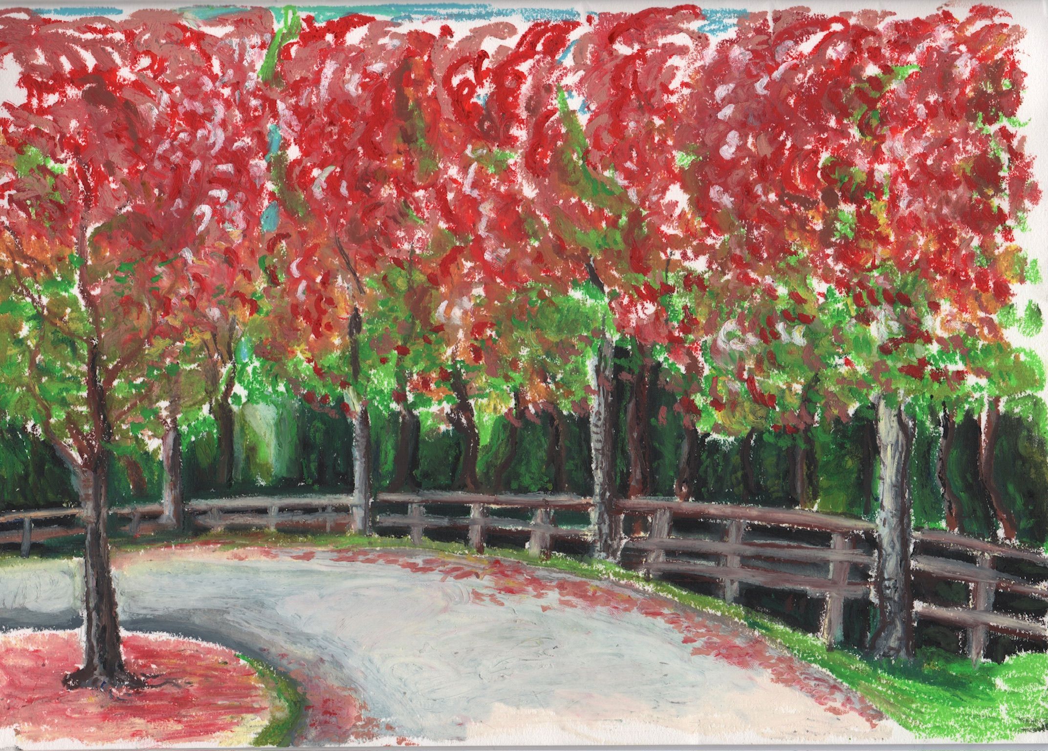Artwork from the treebark collection.
