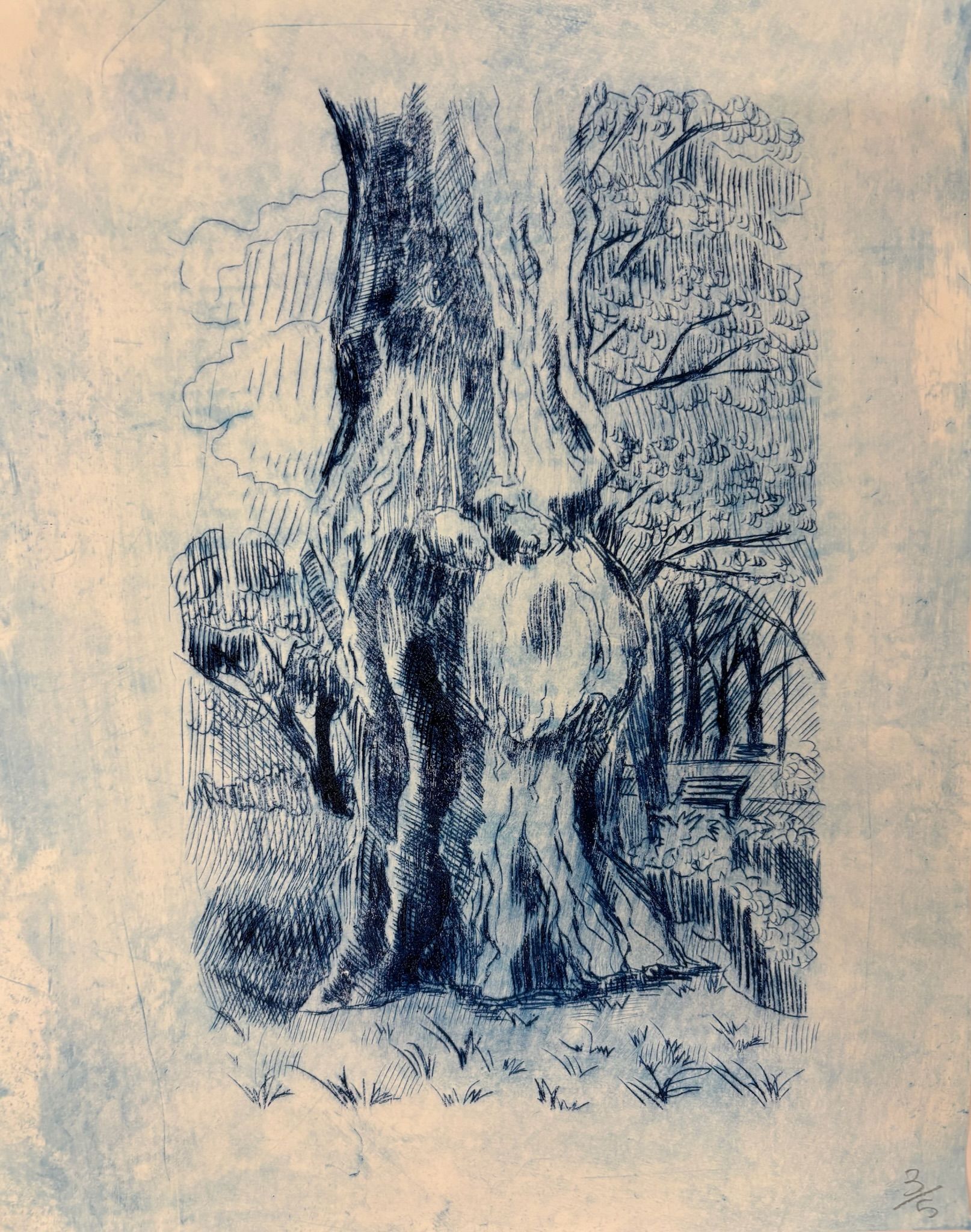 Artwork from the pet portraits collection.