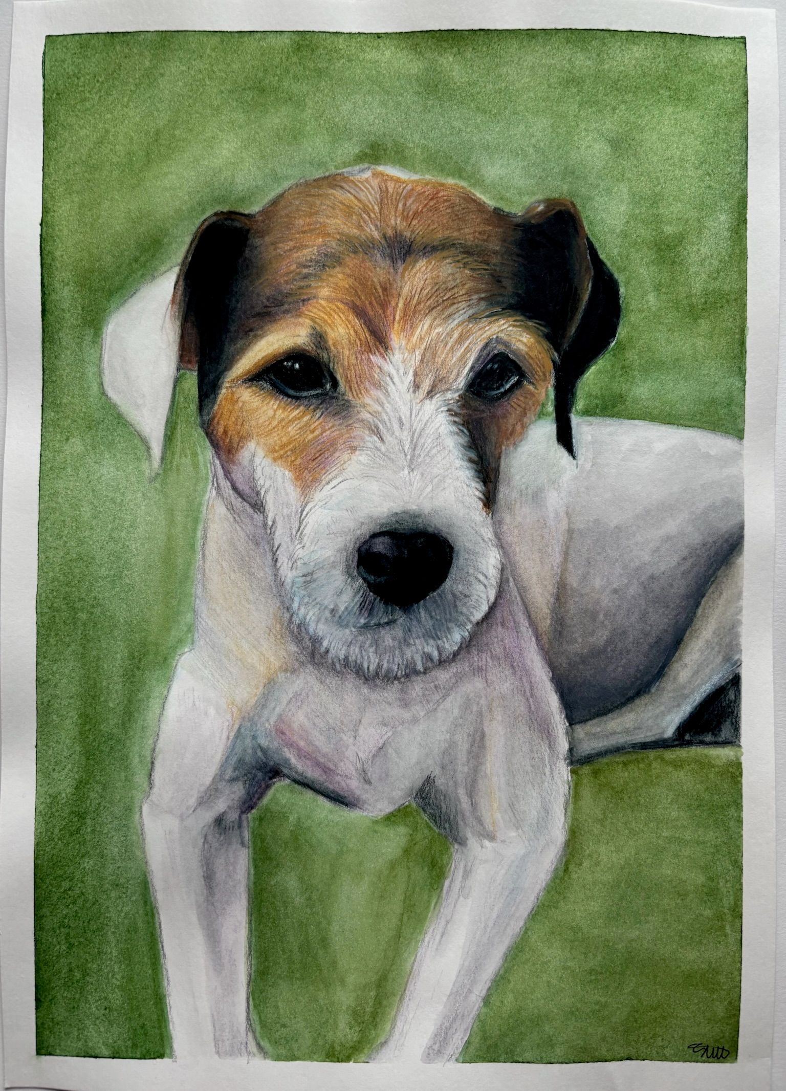 Artwork from the pet portraits collection.